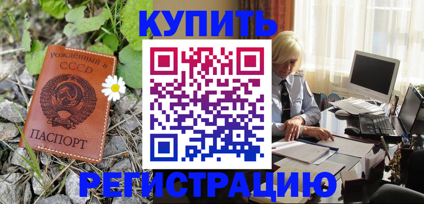 временная регистрация поиск в Выборге